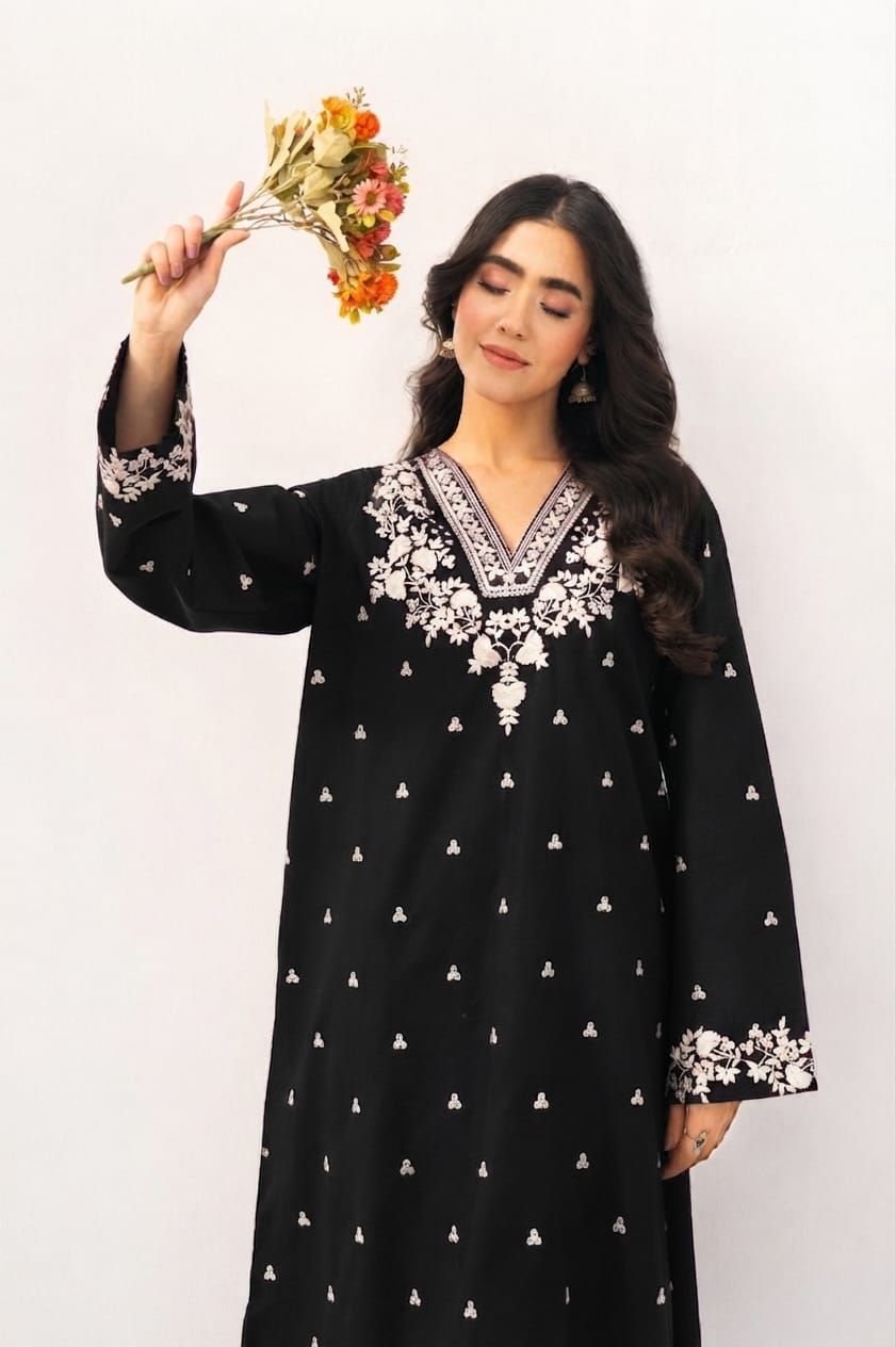 DHANAK EMBRIODERY 2  PC