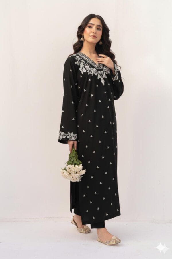DHANAK EMBRIODERY 2  PC