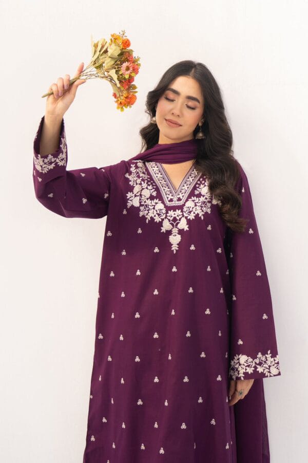 DHANAK EMBRIODERY 2 PC