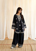 DHANAK EMBRIODERY 2PC