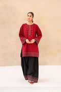DHANAK EMBRIODERY 2PC