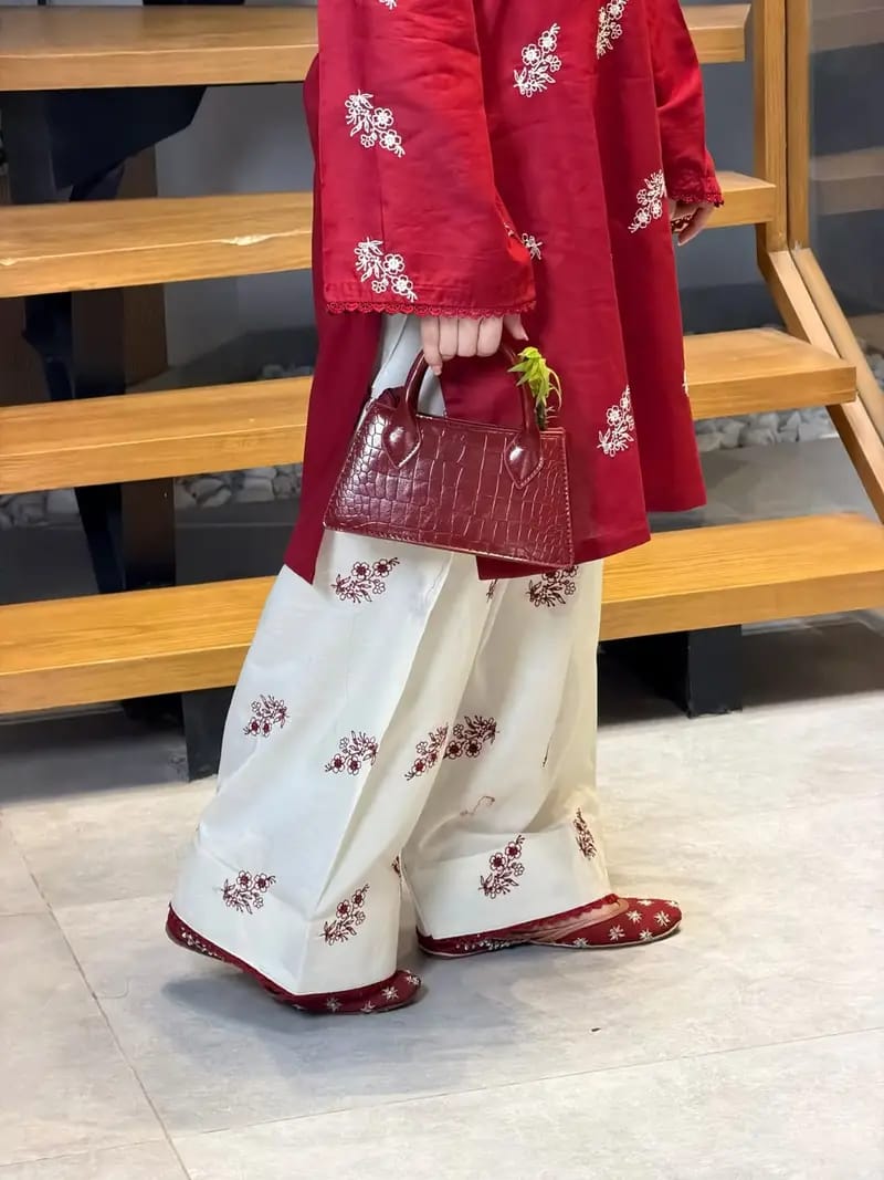 DHANAK EMBRIODERY 2PC